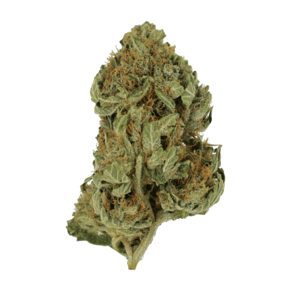 Bubblegum – 1 ounce | MMJ Express Canada