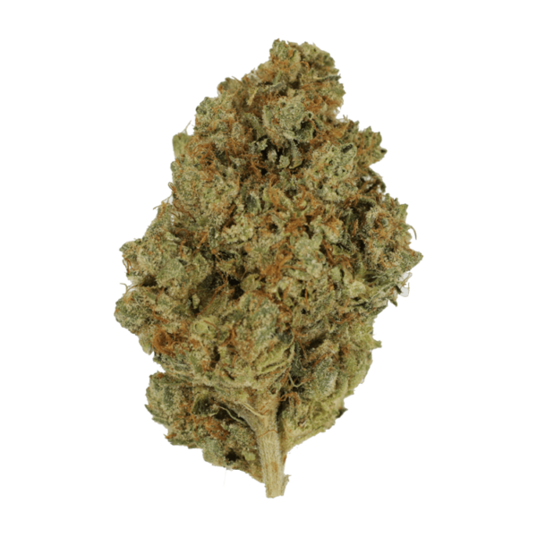 Nepalese | MMJ Express Canada
