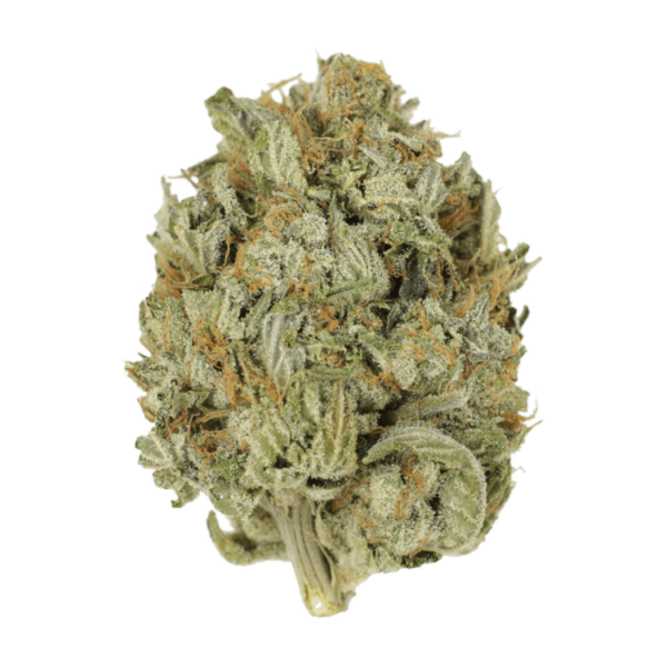 Blue Dream (Popcorn) | MMJ Express Canada