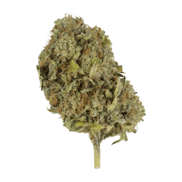 God’s Green Crack | MMJ Express Canada