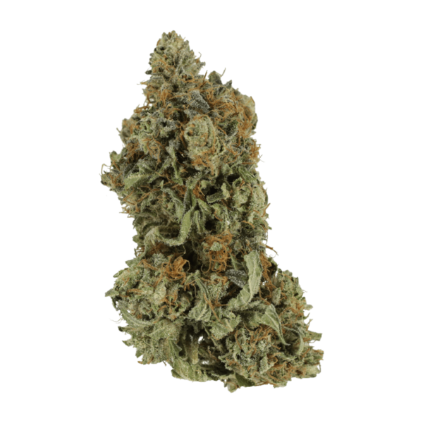 Bruce Banner #3 | MMJ Express Canada