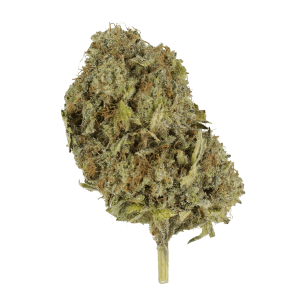 Chemo | MMJ Express Canada