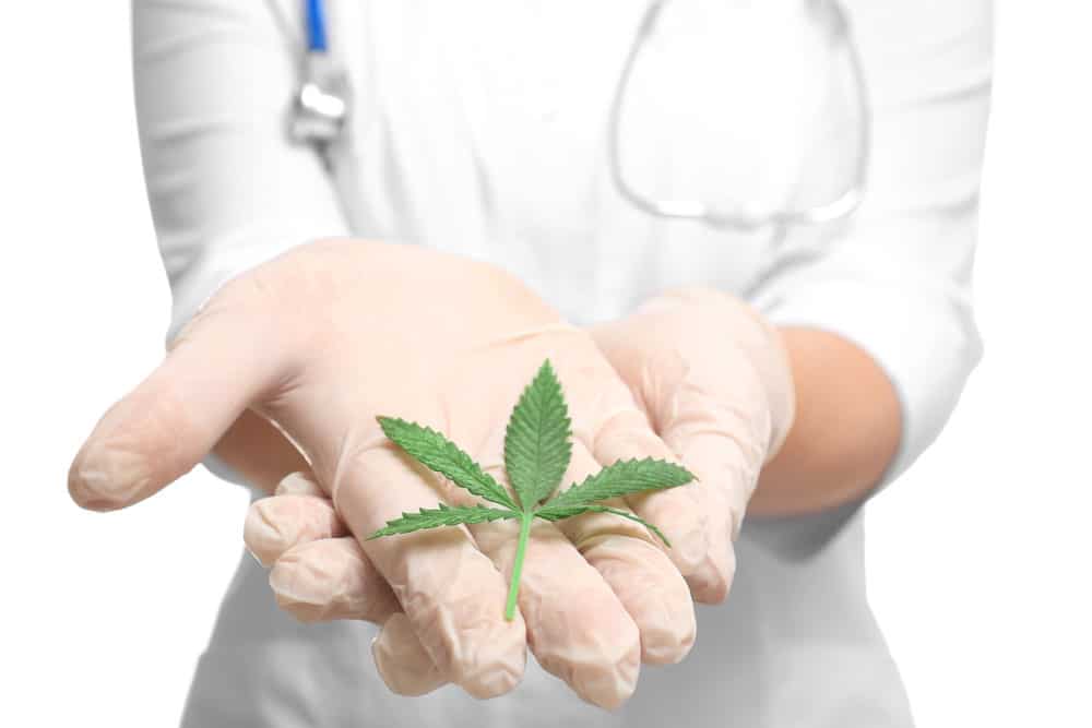 Cannabis as a natural cure for pain | MMJ Express Canada