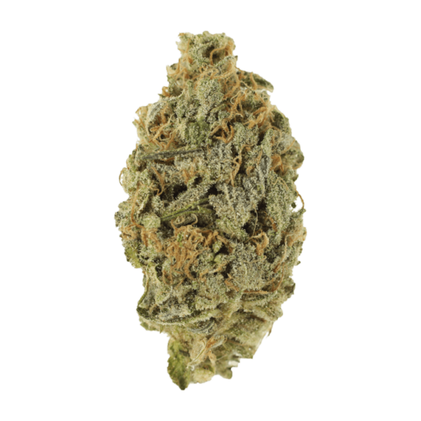 Lavender | MMJ Express Canada