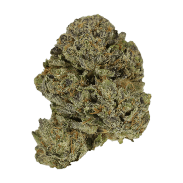 Lavender | MMJ Express Canada