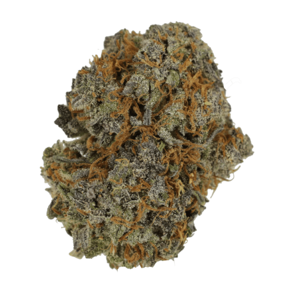 Jack Herer 1 Ounce | MMJ Express Canada