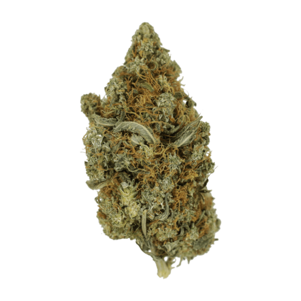 Jack Herer 1 Ounce | MMJ Express Canada