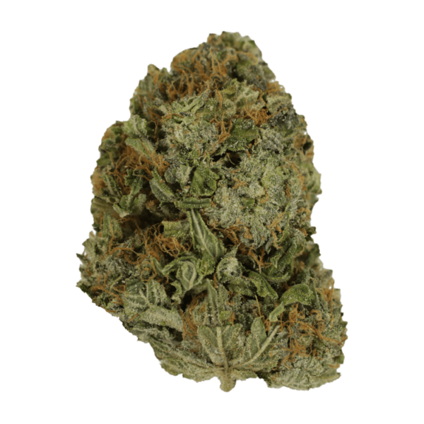 Blue Fire – 1 ounce | MMJ Express Canada