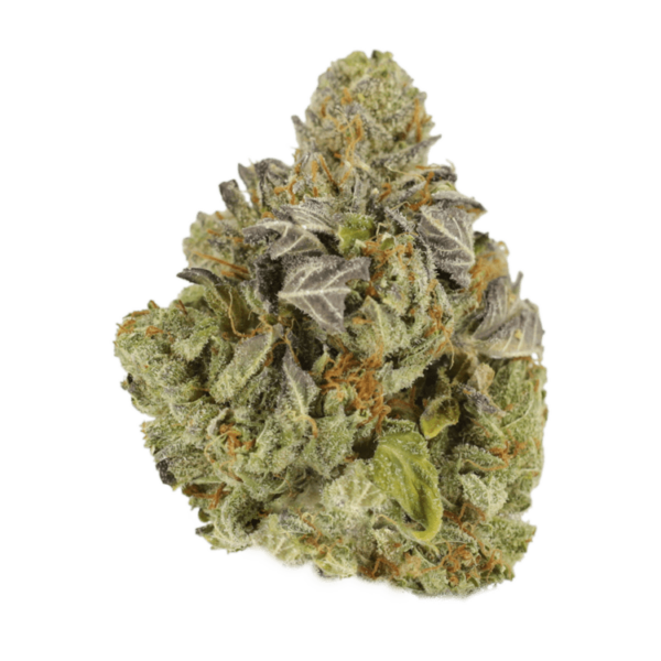 Jet Fuel | MMJ Express Canada