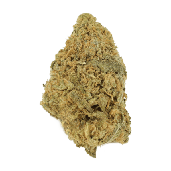 Zombie OG | MMJ Express Canada