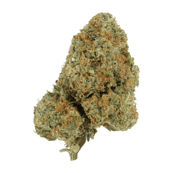 Blue Rhino | MMJ Express Canada