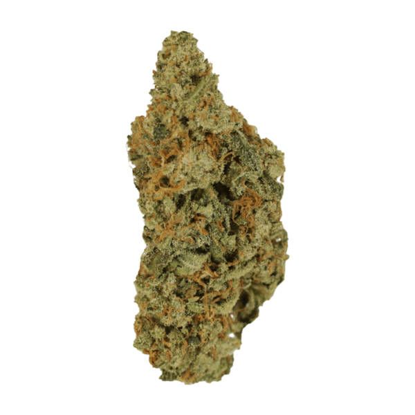 Mimosa | MMJ Express Canada