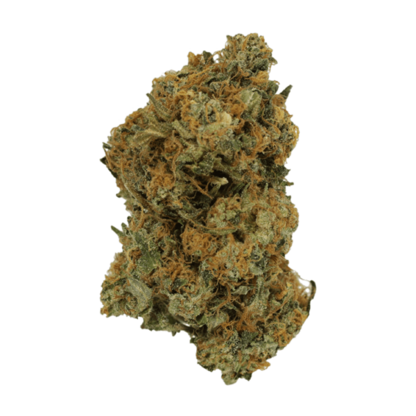 Mimosa | MMJ Express Canada