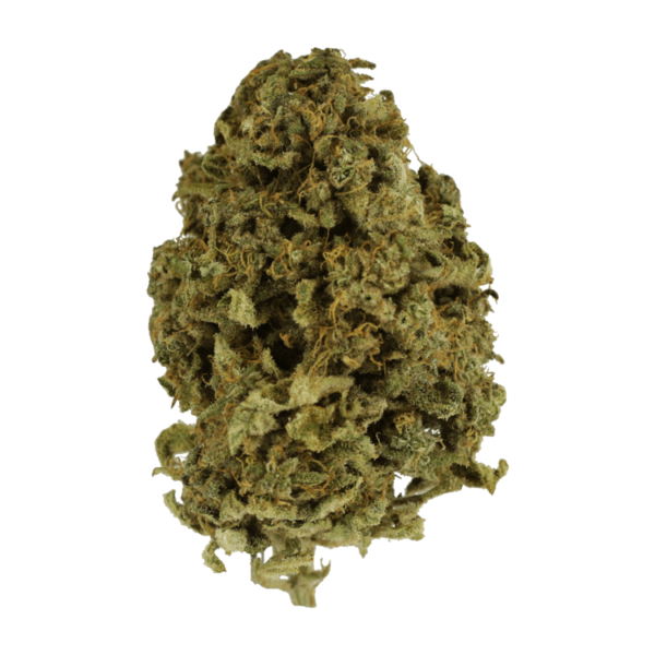Nebula | MMJ Express Canada