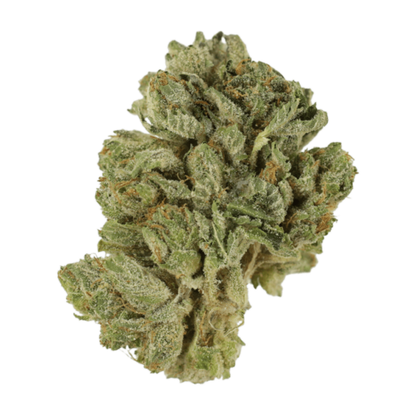 Northern Lights 2 for $69 | MMJ Express Canada