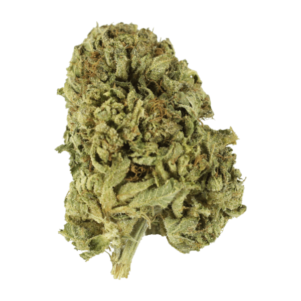 Sour Diesel | MMJ Express Canada
