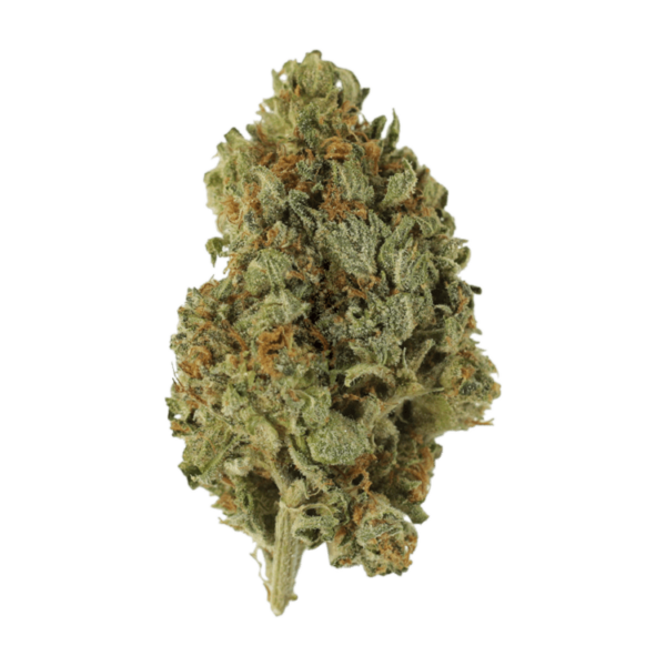 Sugar Cookies | MMJ Express Canada