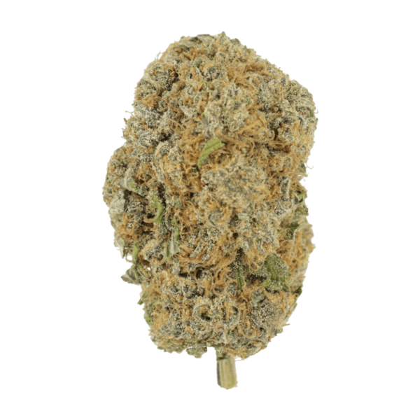 Pine Tar - | MMJ Express Canada