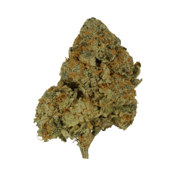 9lb Hammer | MMJ Express Canada