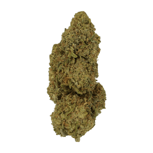 9lb Hammer | MMJ Express Canada