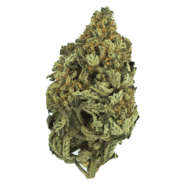 Bakerstreet | MMJ Express Canada