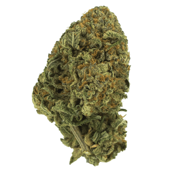 Black Nuken | MMJ Express Canada