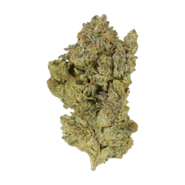 Golden Goat | MMJ Express Canada