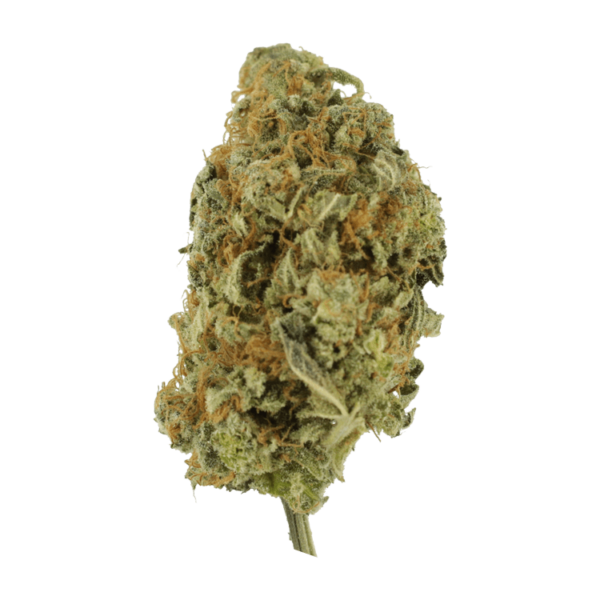 Lollypop – 1 ounce | MMJ Express Canada