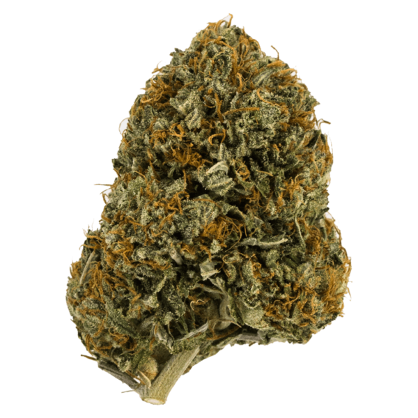 Wifi OG – 1 ounce | MMJ Express Canada