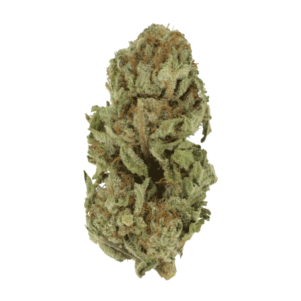 Golden Goat | MMJ Express Canada