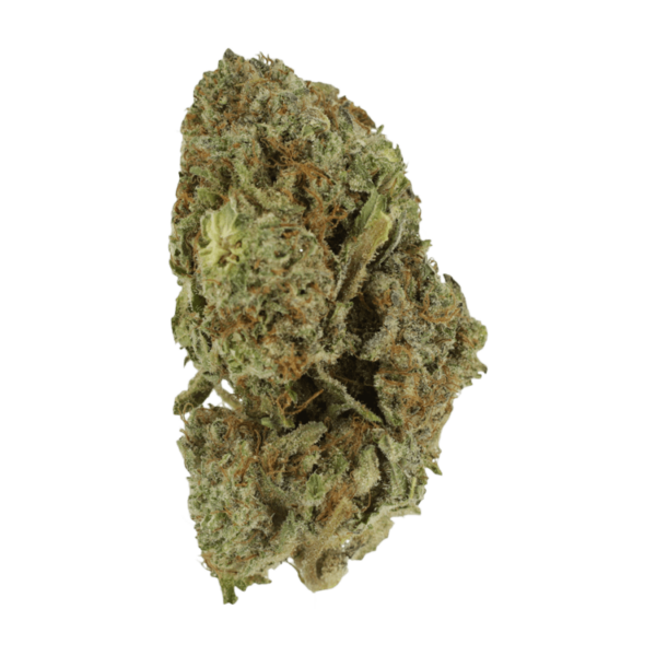 Gelato Sorbet – 1 ounce | MMJ Express Canada