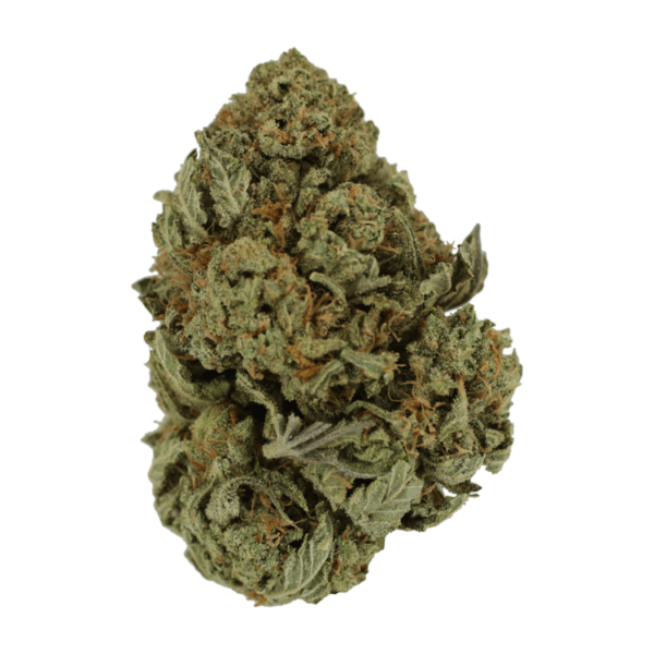 Master Kush Ultra | MMJ Express Canada