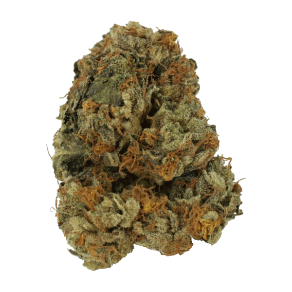 Dolato – 1OZ | MMJ Express Canada