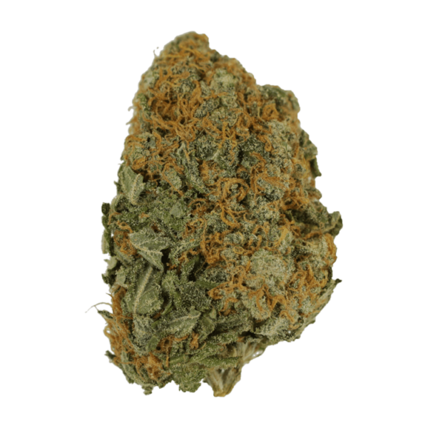 Master Kush Ultra | MMJ Express Canada
