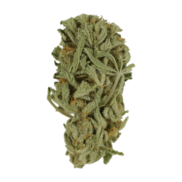 Master Kush Ultra | MMJ Express Canada