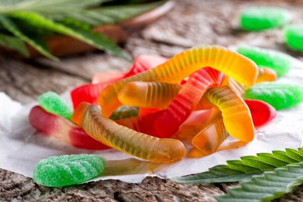 MOTA Edibles Bundles – SAVE 10% | MMJ Express Canada