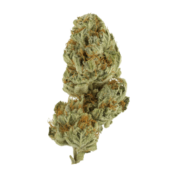 Strawberry Glue | MMJ Express Canada
