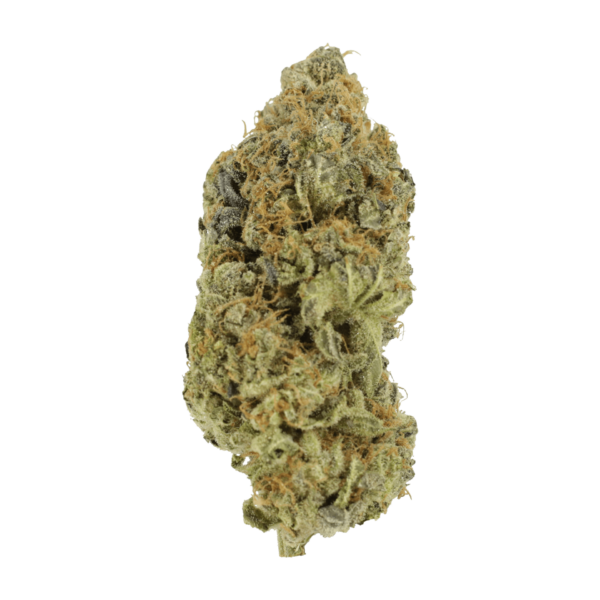 Critical Widow | MMJ Express Canada