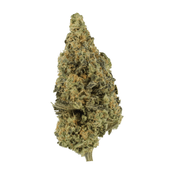 Lava Fuel | MMJ Express Canada