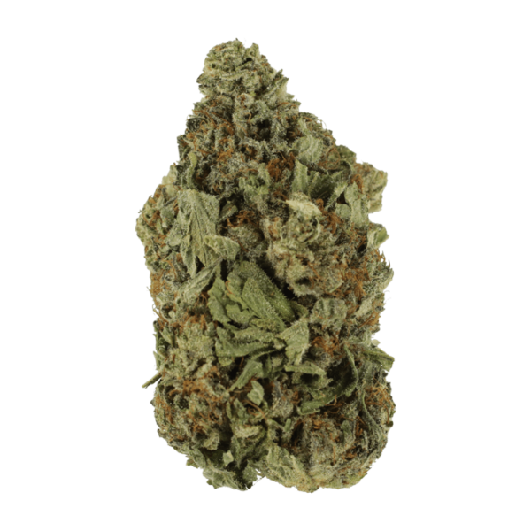 Shishkaberry | MMJ Express Canada