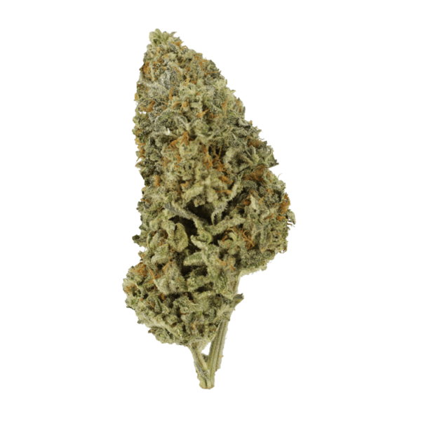 Super Silver Sour Diesel | MMJ Express Canada