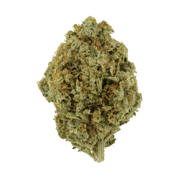 Orange Barb | MMJ Express Canada