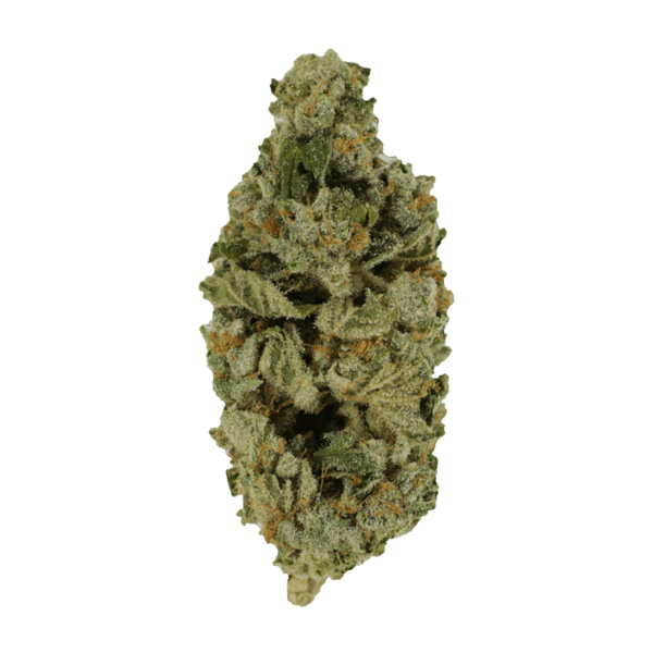 Crazy Glue | MMJ Express Canada