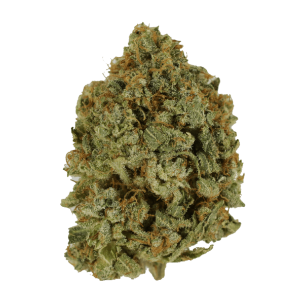 Crazy Glue | MMJ Express Canada