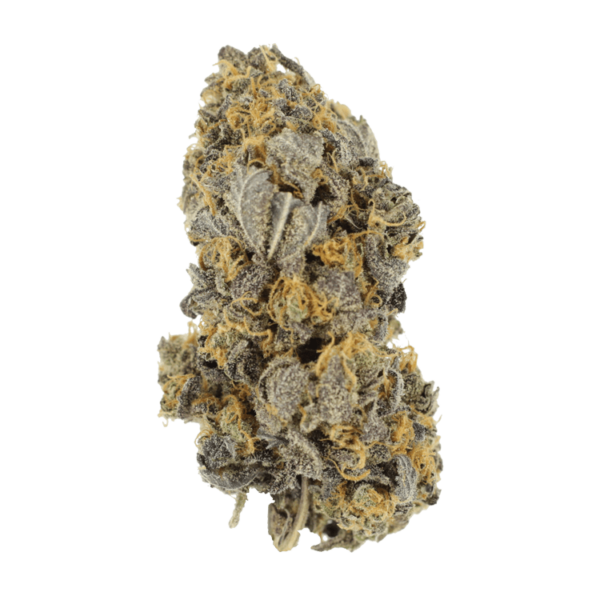 Mcgrupp | MMJ Express Canada