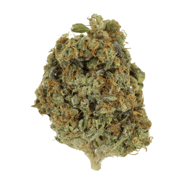Sunset Sherbert | MMJ Express Canada