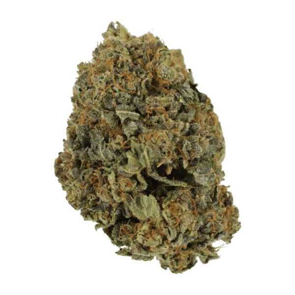 White Shark – 1 ounce | MMJ Express Canada