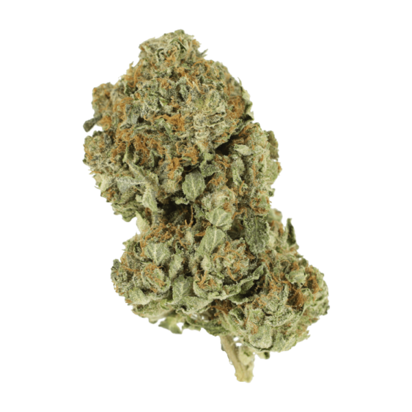 Cali Bubba – 1 ounce | MMJ Express Canada