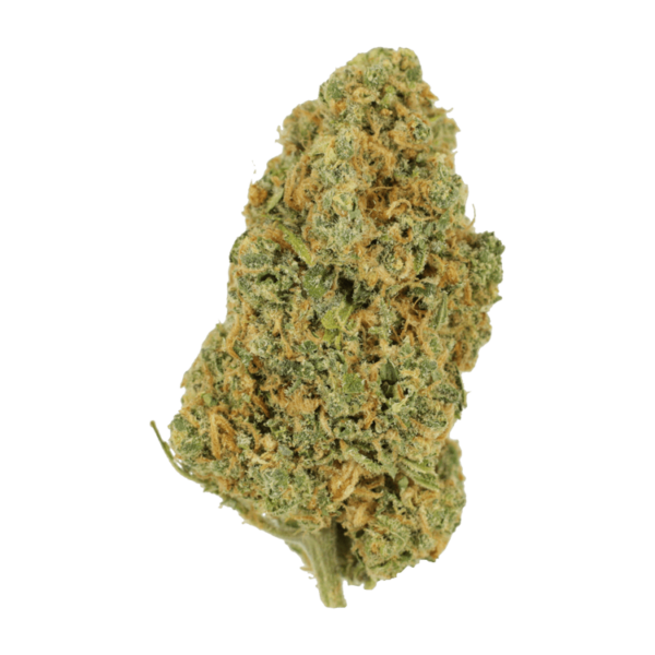 Lemon Bomb | MMJ Express Canada