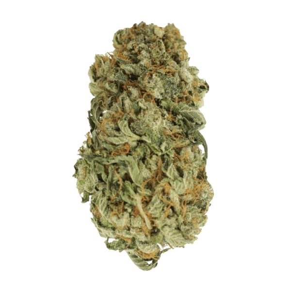 King Louis – 1 ounce | MMJ Express Canada